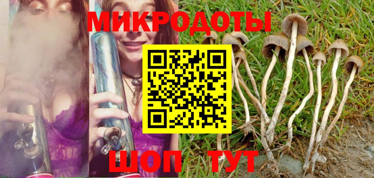 Галлюциногенные грибы прущие грибы Заинск