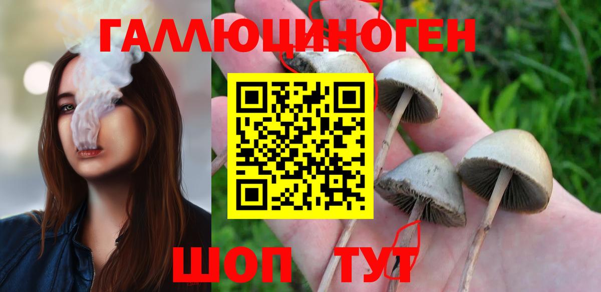 Псилоцибиновые грибы ЛСД  Псилоцибиновые грибы прущие грибы  Вход с VPN  Заинск 